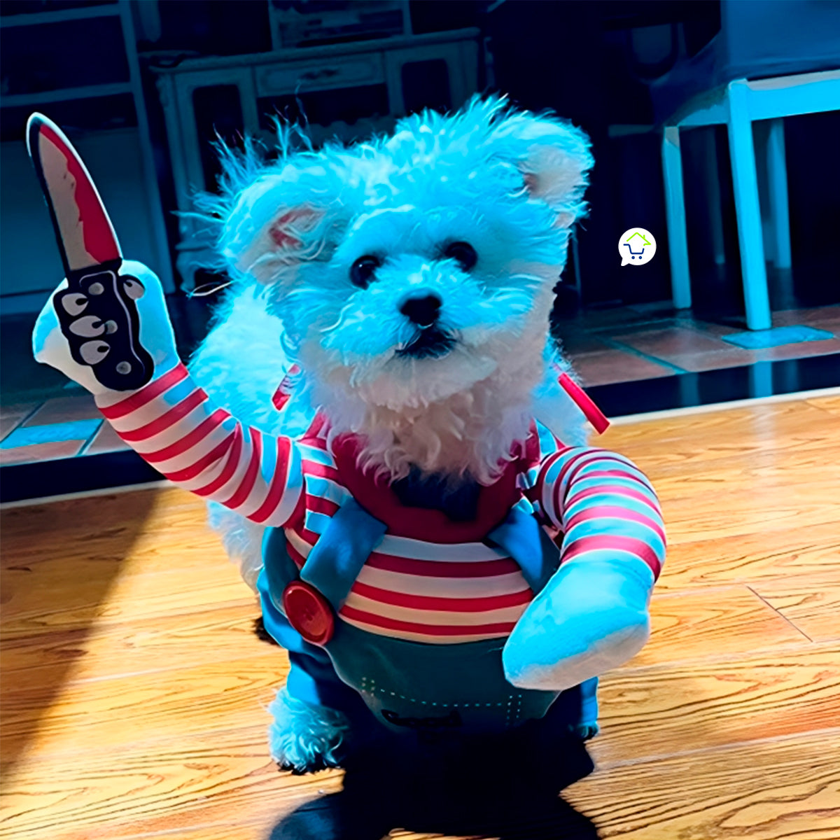 ChuckyPet – Traje de Halloween para Perros y Gatos